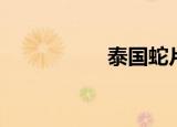 泰国蛇片（泰国蛇片）