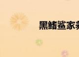 黑鳍鲨家养（黑鳍的赃物）