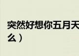 突然好想你五月天歌词（突然好想你歌词是什么）