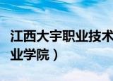 江西大宇职业技术学院改名叫啥（江西大宇职业学院）