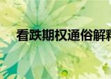 看跌期权通俗解释（看跌期权如何理解）