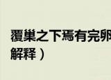 覆巢之下焉有完卵啥意思（覆巢之下焉有完卵解释）