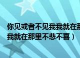 你见或者不见我我就在那里不悲不喜歌曲（你见或者不见我我就在那里不悲不喜）