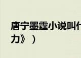 唐宁墨霆小说叫什么名字（《试婚老公,要给力》）