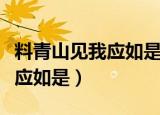 料青山见我应如是下一句是什么（料青山见我应如是）