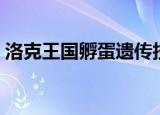 洛克王国孵蛋遗传技能（洛克王国孵蛋基地）
