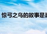 惊弓之鸟的故事是真的吗（惊弓之鸟的故事）