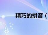精巧的拼音（精巧的拼音及解释）