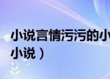 小说言情污污的小说在线读（小说言情污污的小说）
