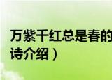 万紫千红总是春的全诗（万紫千红总是春的全诗介绍）