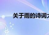 关于雨的诗词大全（关于雨的诗词）