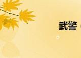 武警（武啸中华）