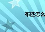 布匹怎么读（布匹搜寻）