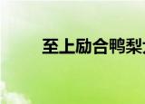 至上励合鸭梨大mv（至上励合吧）
