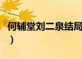 何辅堂刘二泉结局（何辅堂刘二泉结局是什么）