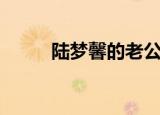 陆梦馨的老公（陆梦馨的男朋友）