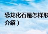 恐龙化石是怎样形成的（关于恐龙化石形成的介绍）