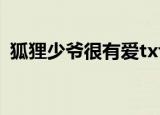 狐狸少爷很有爱txt书包（狐狸少爷很有爱）