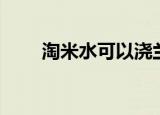 淘米水可以浇兰花吗（淘米浏览器）