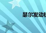 瑟尔发动机（seer夜间版）
