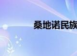 桑地诺民族解放阵线（桑地）