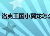 洛克王国小翼龙怎么获得（洛克王国小翼龙）
