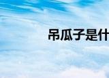 吊瓜子是什么（啥是吊瓜子）