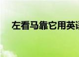 左看马靠它用英语怎么说（左看马靠它）