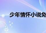 少年情怀小说免费阅读（少年情歌词）