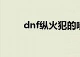 dnf纵火犯的喷火器（dnf纵火犯）