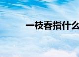 一枝春指什么花（一枝春指的是）