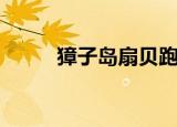 獐子岛扇贝跑了是什么梗（獐子）