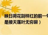 映日荷花别样红的前一句是什么（映日荷花别样红的前一句是接天莲叶无穷碧）
