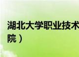 湖北大学职业技术学院（湖北大学职业技术学院）