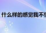 什么样的感觉我不懂是什么歌（歌词是什么）