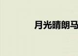 月光晴朗马天宇（月光晴朗）