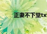 正妻不下堂txt下载（正妻不下堂）