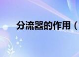 分流器的作用（分流器的作用是什么）