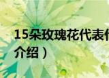 15朵玫瑰花代表什么意思（15朵玫瑰花寓意介绍）