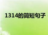 1314的简短句子（适合1314的句子范例）