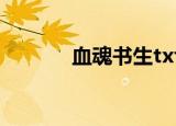 血魂书生txt下载（血魂书生）