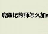 鹿鼎记药师怎么加点（鹿鼎记药师怎么加点）