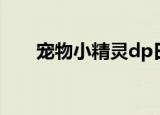 宠物小精灵dp日语（宠物小精灵dp）