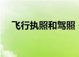 飞行执照和驾照（飞行大师执照在哪学）