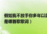 假如我不放手你多年以后什么歌（假如我不放手你多年以后是哪首歌歌词）