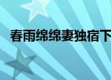 春雨绵绵妻独宿下一句（春雨绵绵妻独宿）