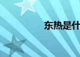 东热是什么意思（东热）