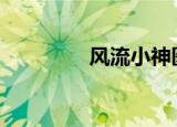 风流小神医（风流finale）
