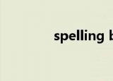 spelling bee（spell歌词）