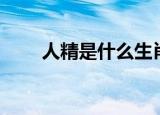 人精是什么生肖（人精是什么意思）